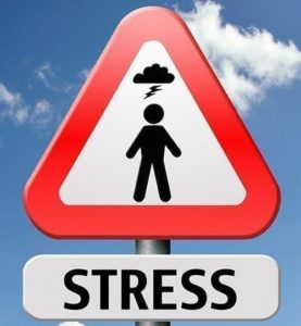 How to Identify Stress